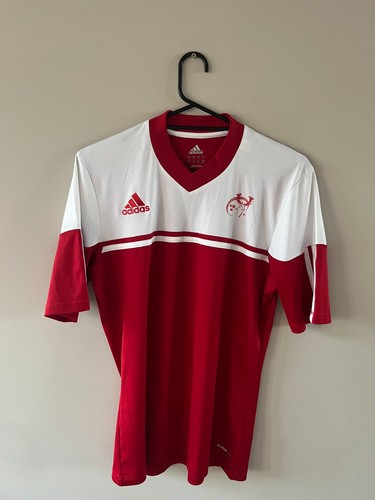 Munster rugby 2013 2014 - rugby,